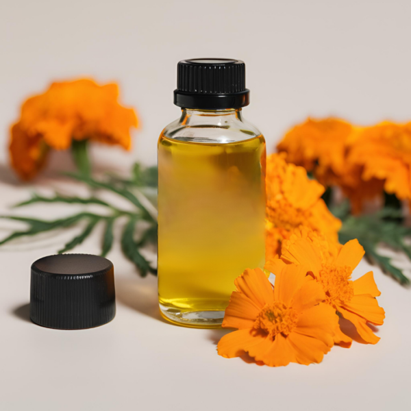 Ontwerp zonder titel (14)